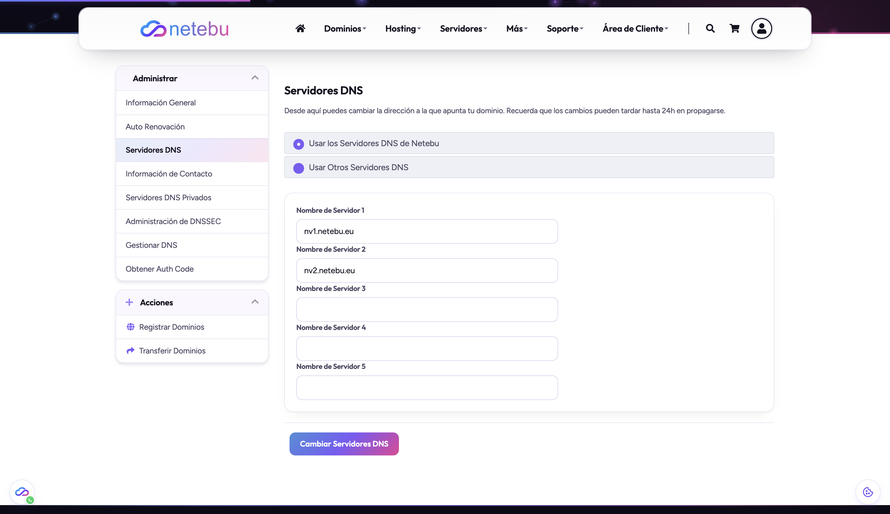 Pantalla Servidores DNS del dominio con las opciones Usar los Servidores DNS de Netebu y Usar Otros Servidores DNS
