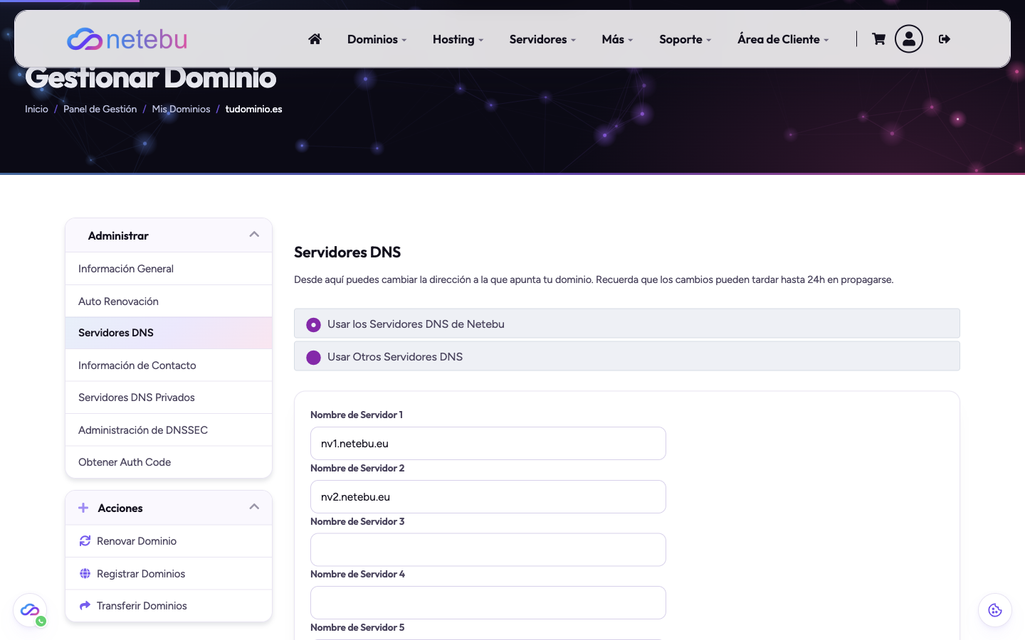Pantalla Servidores DNS de un dominio, con las opciones Usar los Servidores DNS de Netebu y Usar Otros Servidores DNS, y los campos Nombre de Servidor 1 a 5