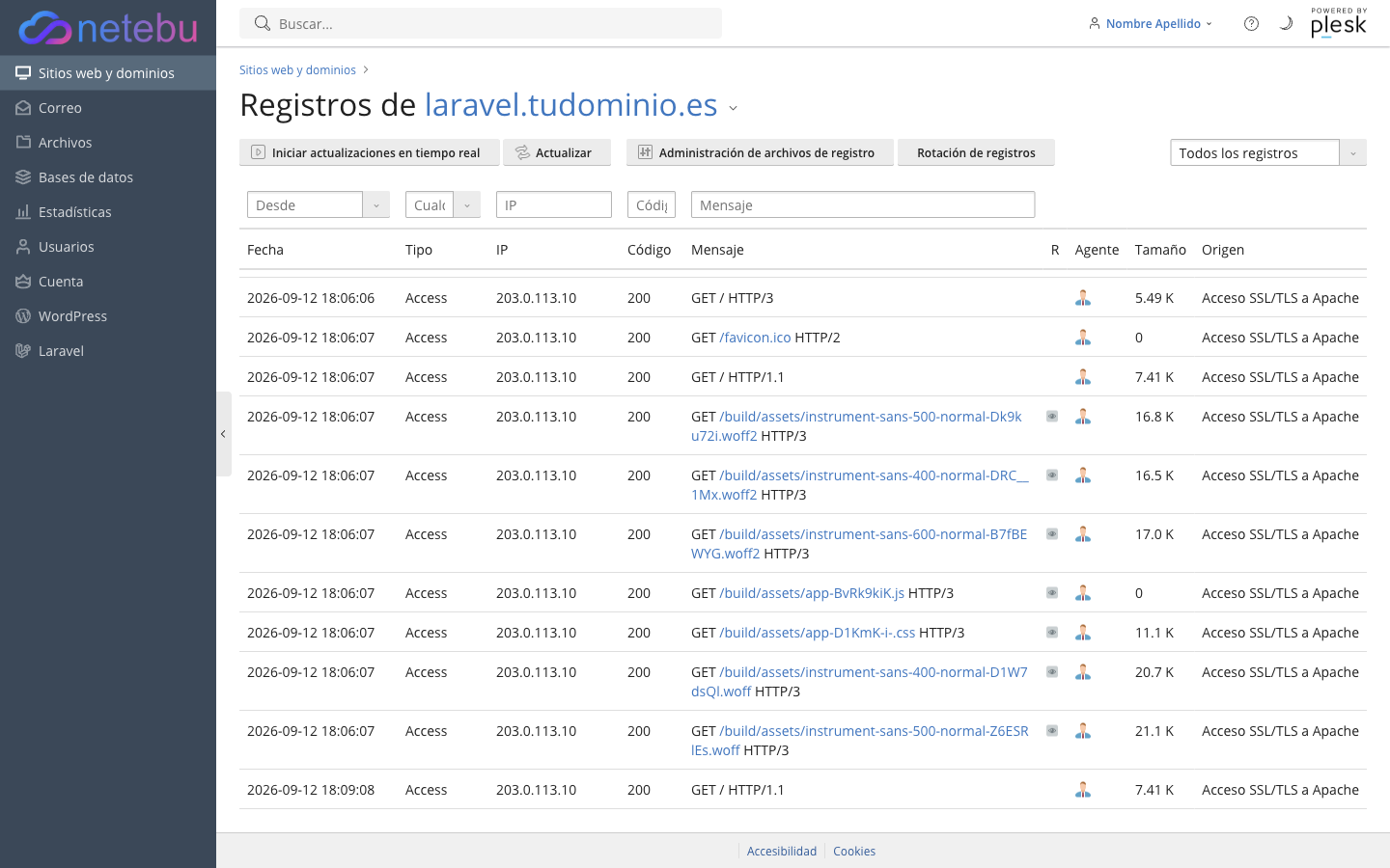 Visor de registros de un dominio con fecha, tipo, IP, código HTTP y mensaje de cada petición